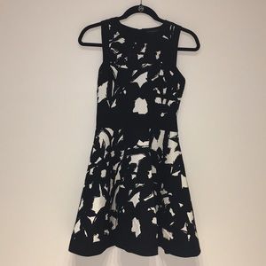 Banana Republic Fit and Flare Dress